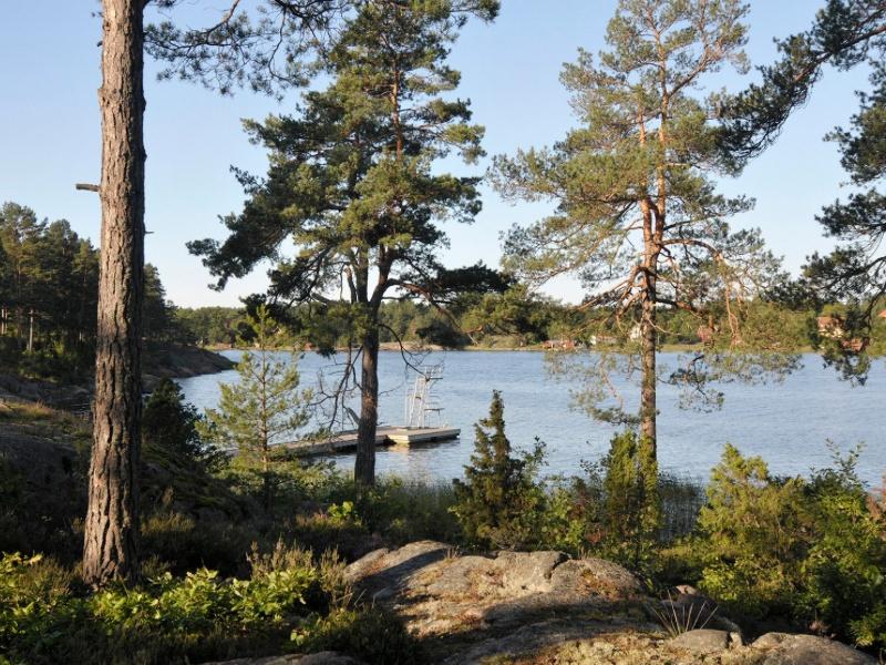 Råd